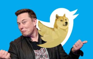 The Logo of Twitter changed: Musk Replaces blue bird with Dogecoin